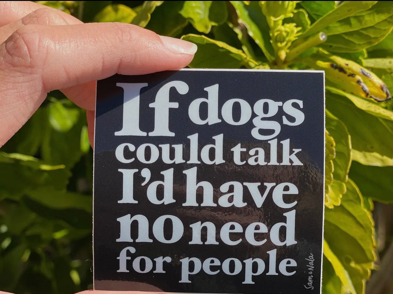 If Dogs Could Talk Vinyl Sticker