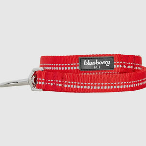 Spring Colors 3M Reflective Soft Padded Safety Leash