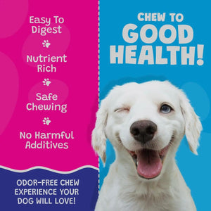 Coconut Dog Bone Premium Treats 2 ct