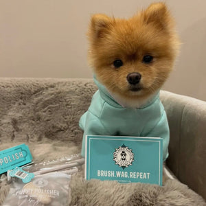 Puppy Polisher Shampoo Brush