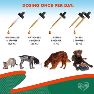 Herbal Antibiotics for Cats & Dogs