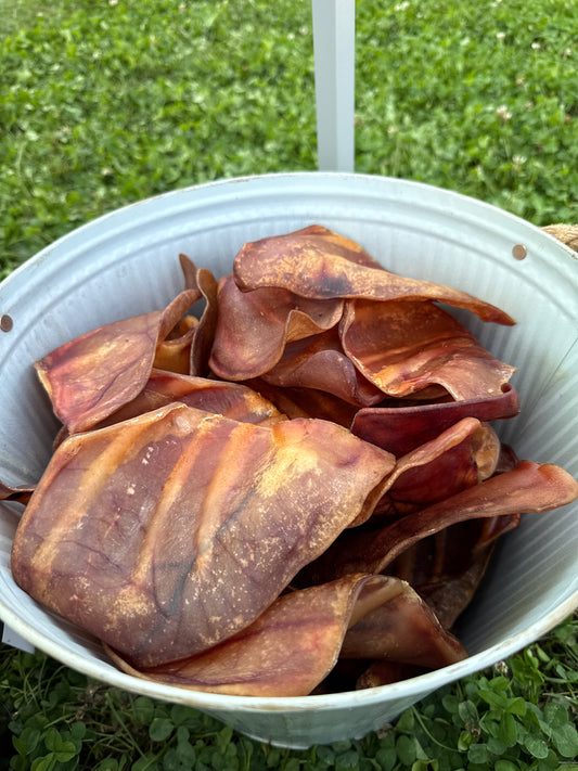 Pig Ear