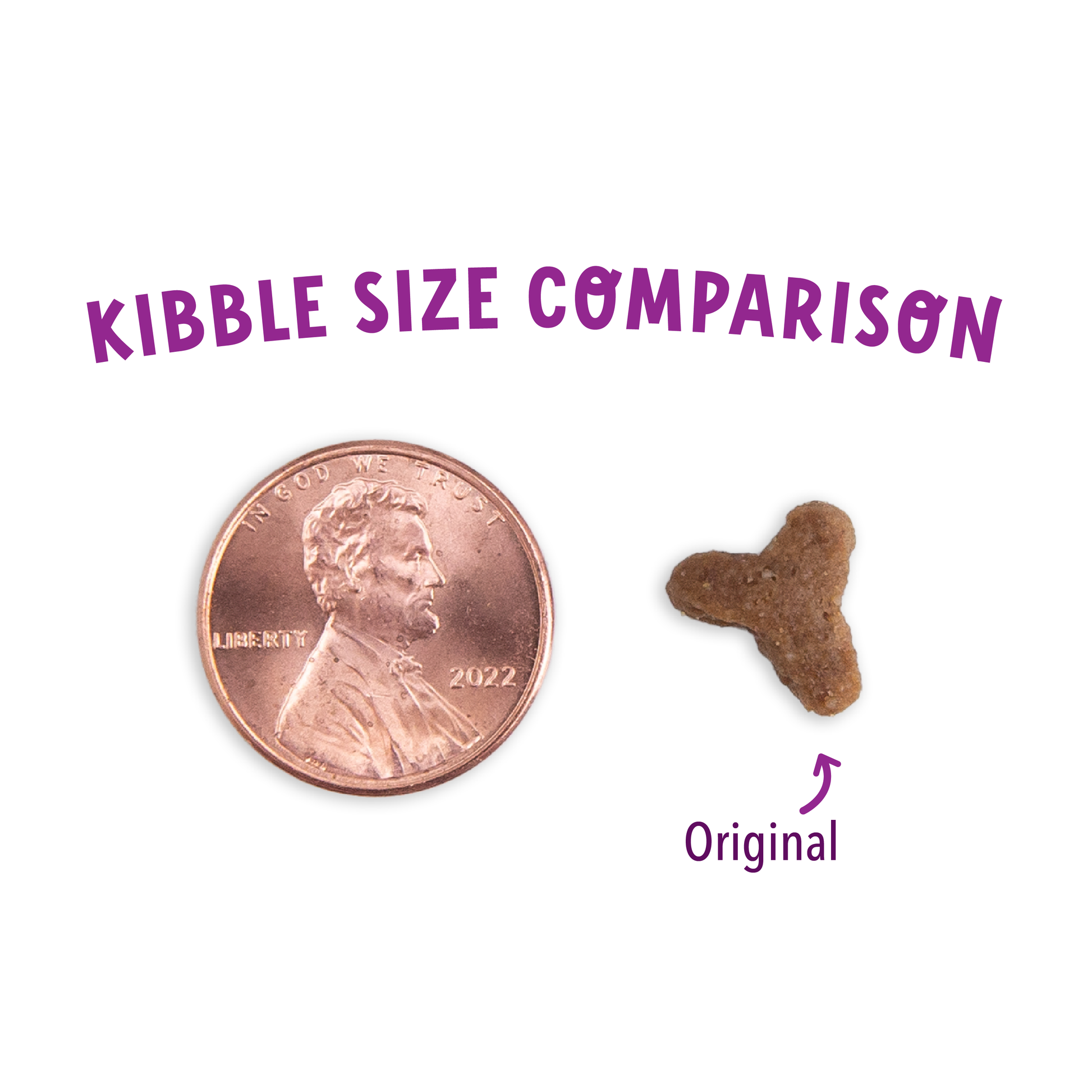 Grain Free Turkey & Salmon