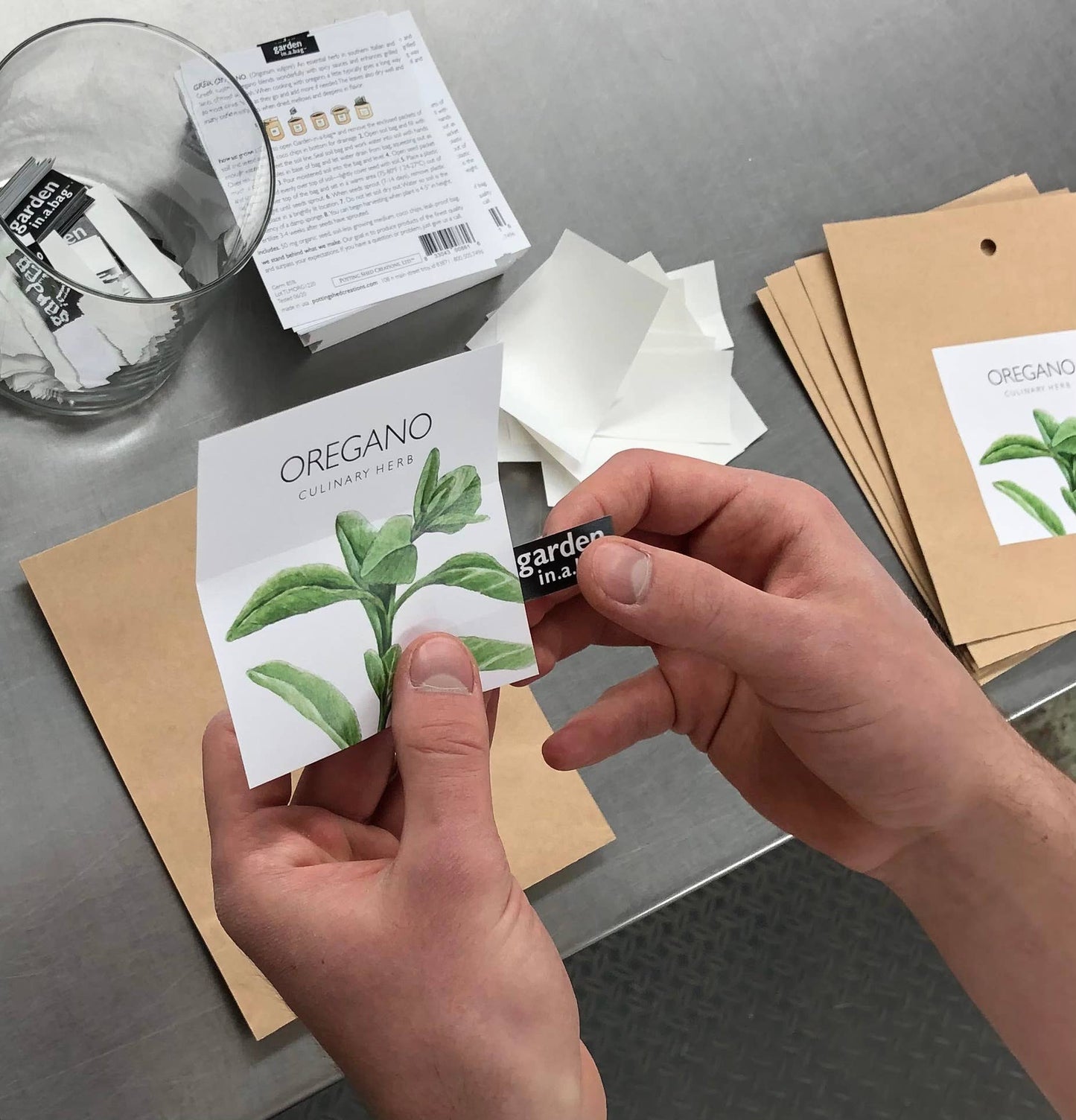 🌱🌿Garden in a Bag Cilantro | Thoughtful Cook’s Gift