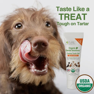 Tooth Gel For Dogs