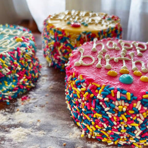 🎉🐾 Colorful FIESTA Sprinkle Doggie Cake Treat