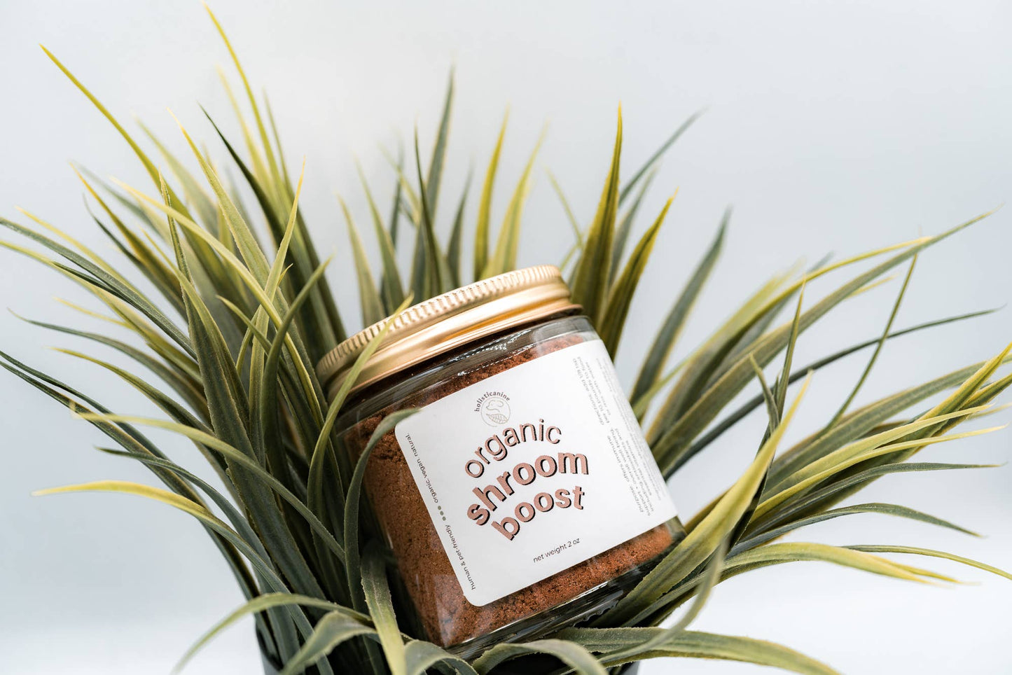Organic Shroom Supplement