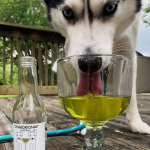 Dog Wine Liquid Supplement