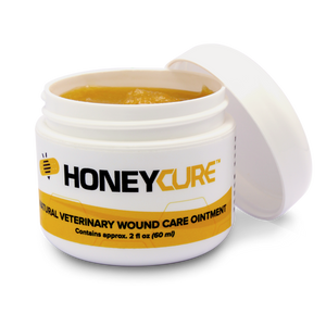 HoneyCure Ointment - Jar