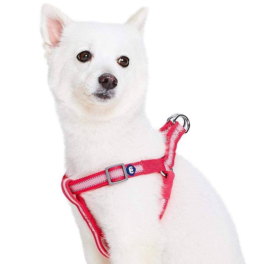 🌙🐾Better Basics Reflective Dog Harness