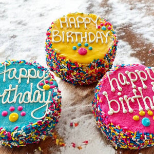 🎉🐾 Colorful FIESTA Sprinkle Doggie Cake Treat