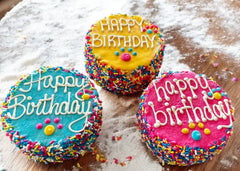 🎉🐾 Colorful FIESTA Sprinkle Doggie Cake Treat