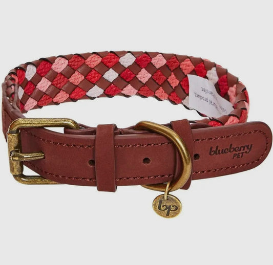 Braided Full Grain Leather Dog Collar