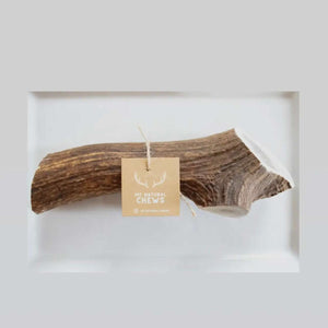 Antlers -Elk