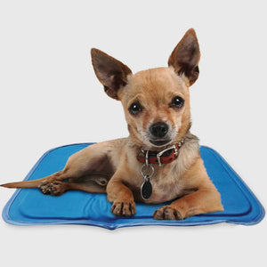 Cool Pet Pad