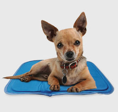 Cool Pet Pad