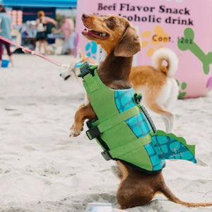 Tailwagger Craft Dog Beer