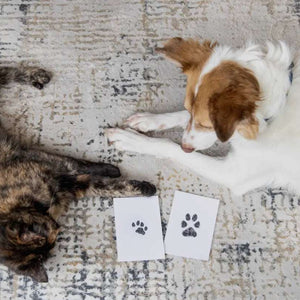 Pet Pawprint Clean-Touch Ink Pad
