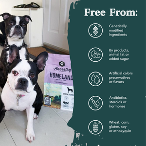 Homeland with Lamb Meal