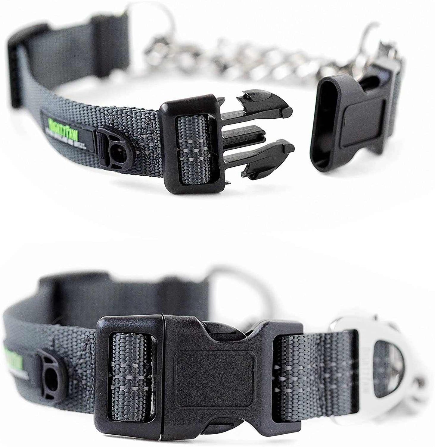 🐾✨Mighty Paw Martingale Collar