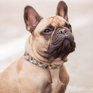 Braided Full Grain Leather Dog Collar