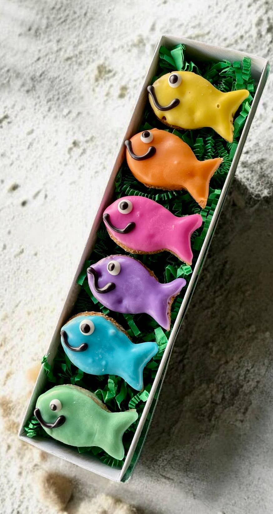 Here Fishy Fishy Gift Box