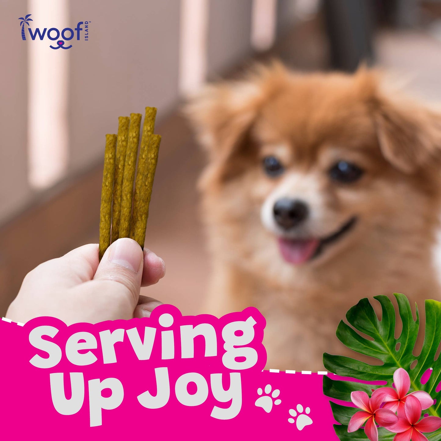 🌺🐷 Woof Island™ Kalua Pork Sticks – Long-Lasting Rawhide-Free Pork Chews for Dogs