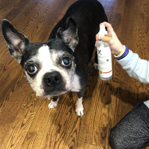 Dry & Waterless Shampoo - Green Apple Scent - 8 oz