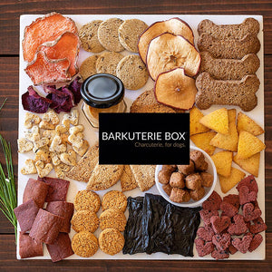 Dog Charcuterie / Barkuterie Treat Box