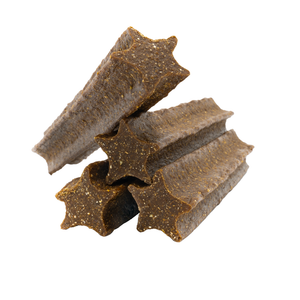Dental+®, Beef/Gut Support Medium/Large