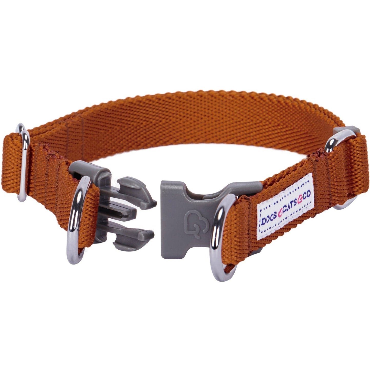 ✨ Dogs & Cats & Co. Double D-Ring Dog Collar 🐾