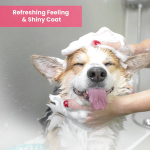 Shampoo Pomegranate Cucumber