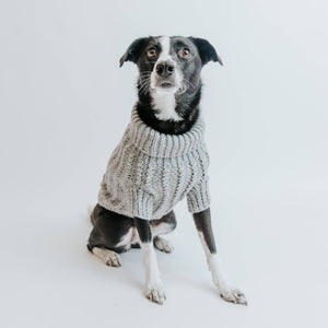 Dog Cable Knit Sweater - Gray
