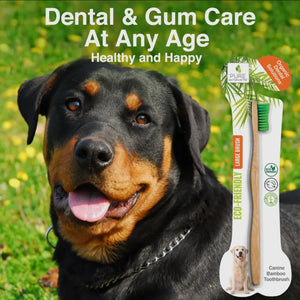 Bamboo Toothbrush - Organic Dental Solutions®