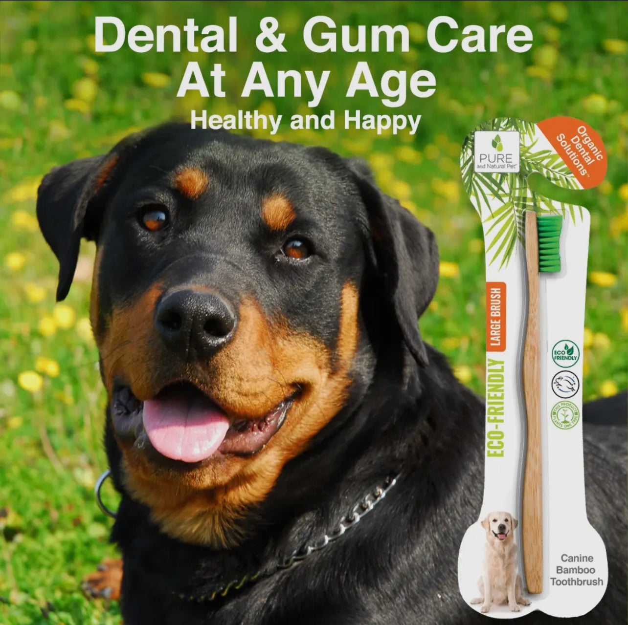 Bamboo Toothbrush - Organic Dental Solutions®