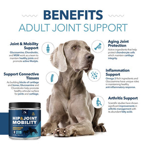 Hip & Joint Mobility Powder for Dogs