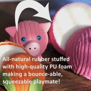 Hamlet Pig Ruff-Tex® Ball Dog Toy