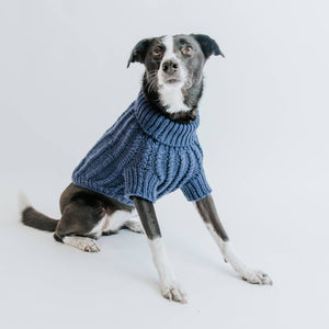 Dog Cable Knit Sweater - Navy