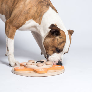 🌼 Dog’s Flower Puzzle Toy – Adjustable Level 1–4 Enrichment Game for Curious Dogs