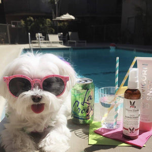 Dog Sunscreen 4 oz