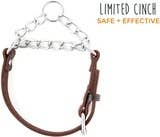 🐕 Martingale Dog Collar – Premium Leather & Stainless Steel Training Collar 🖤✨