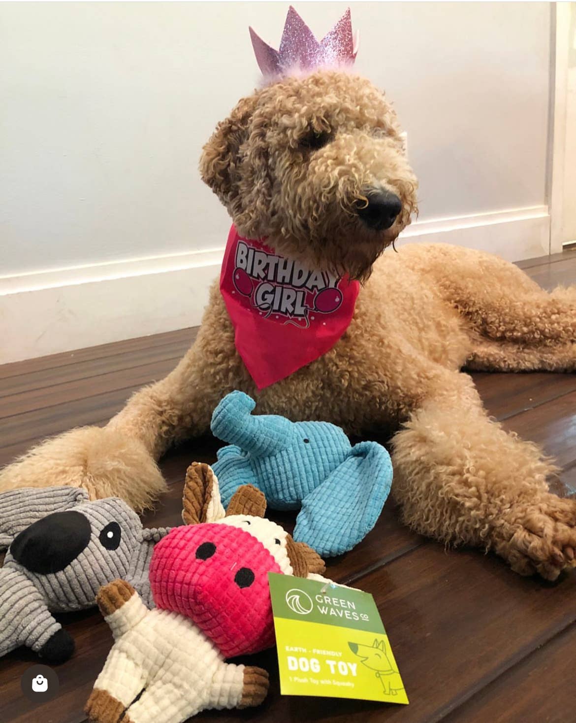 🐨🐶💚 Koala Small Plush Dog Toy – Eco-Friendly Fun for Playful Pups 💚🐾
