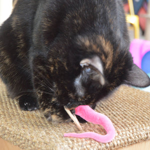 A-Lure-Ring - with Tail Wand Attachment toy