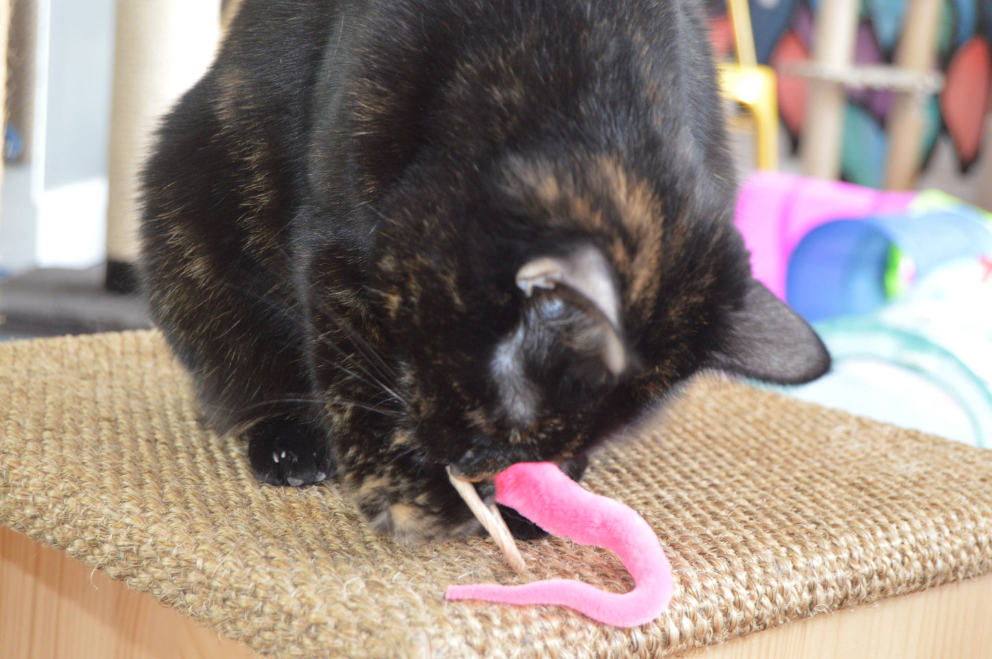 A-Lure-Ring - with Tail Wand Attachment toy