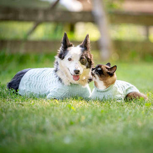 ✨🐾 UltraSoft Brushed Fuzzy Turtleneck Sweater