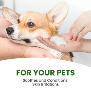 Rosemary Tea Tree Shampoo