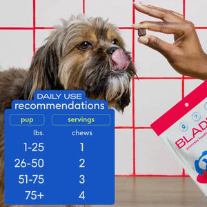 Cranberry Bladder Chews, Kidney & Urinary Supplement