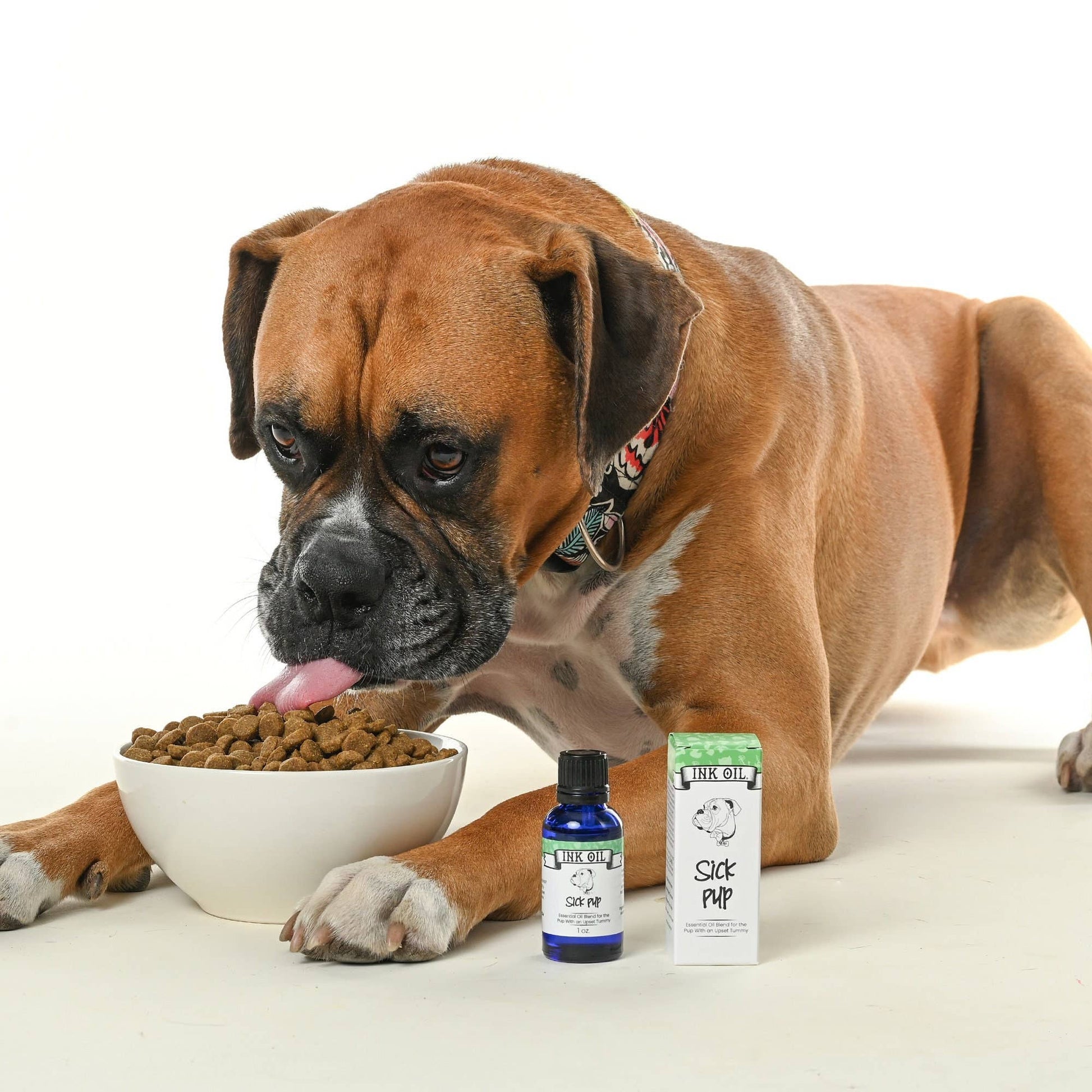 🐶🌿Sick Pup Essential Oil for the Dog w/Digestive Issues