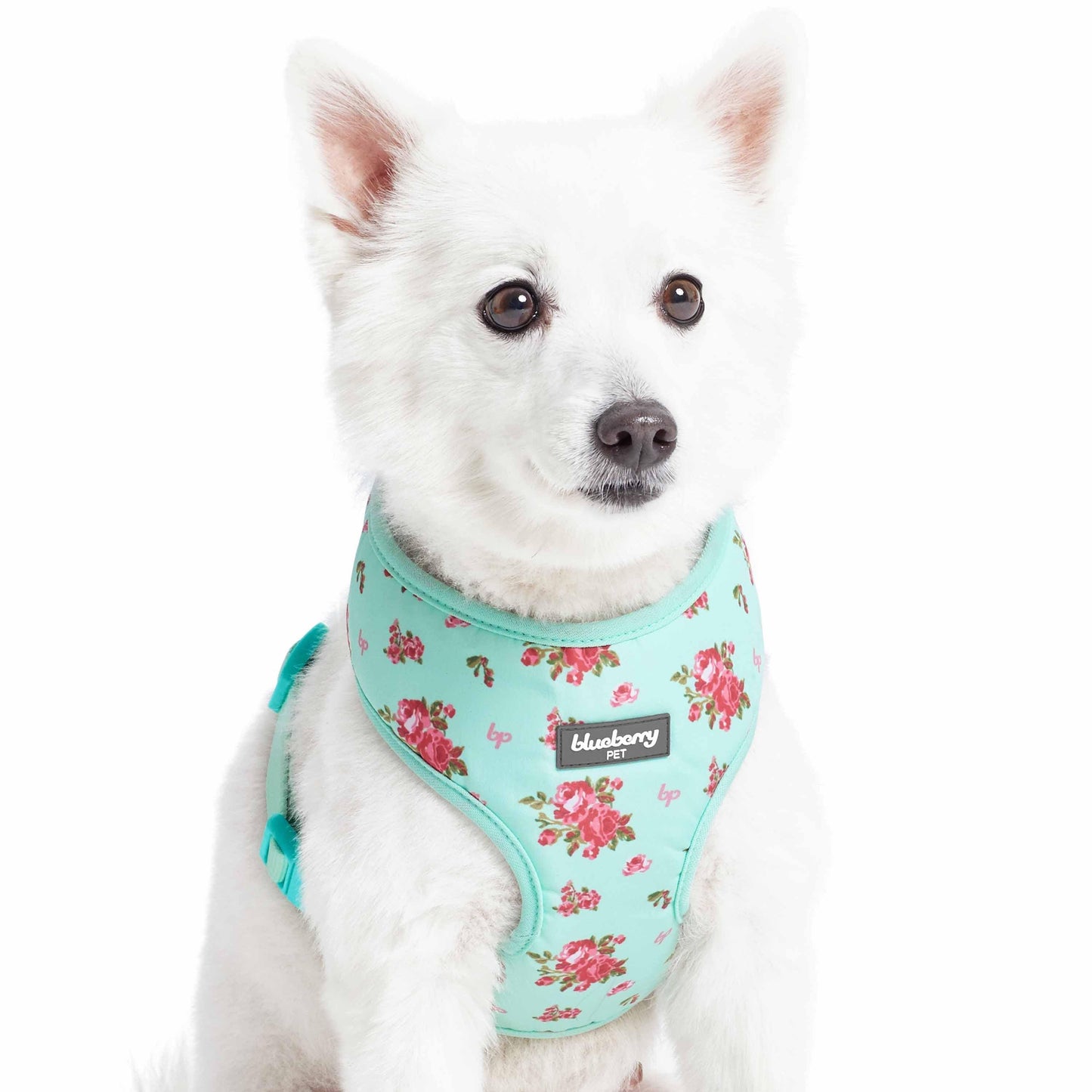 🌸🐾 Petal Paws Floral Dog Harness Vest
