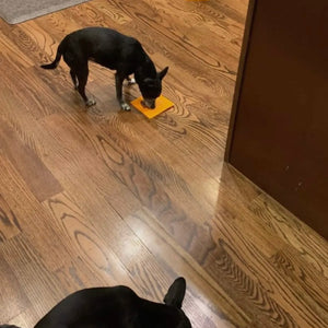 Lick Mat w/ Suction Cup